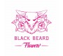 Blackbeard Flowers